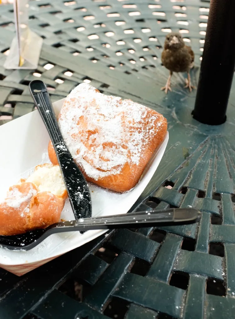 Cafe Beignet New Orleans