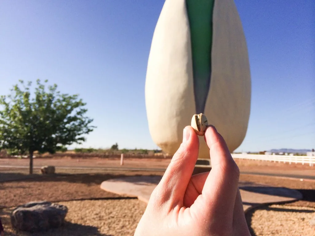 World's Largest Pistachio