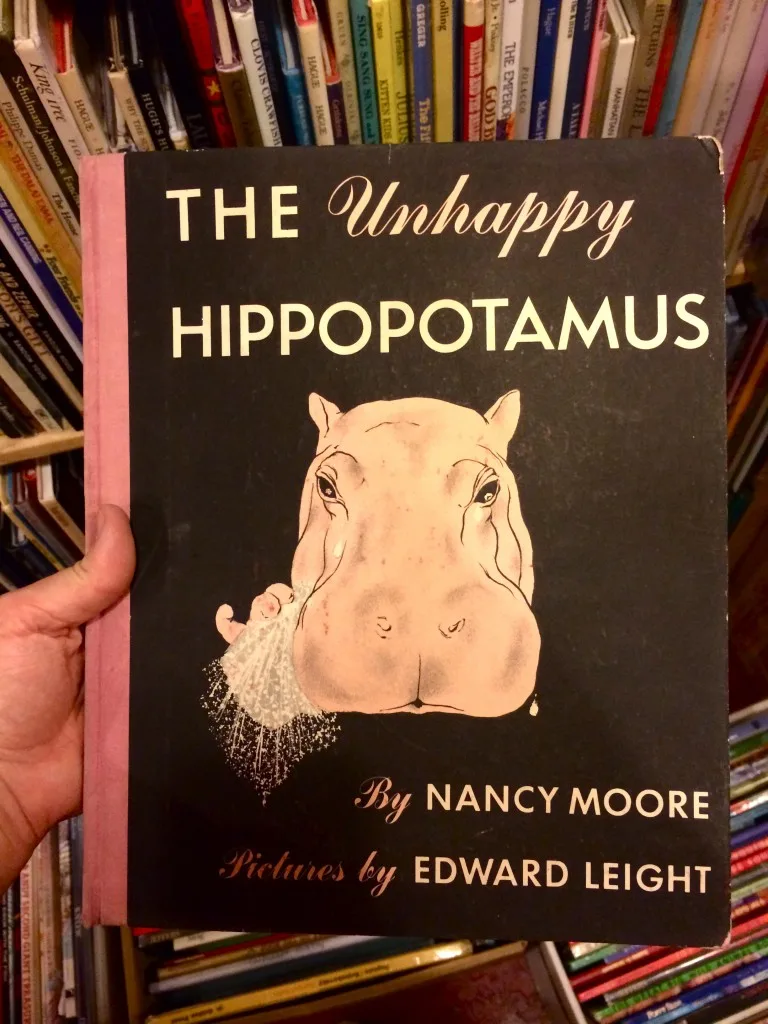 Unhappy Hippopotamus