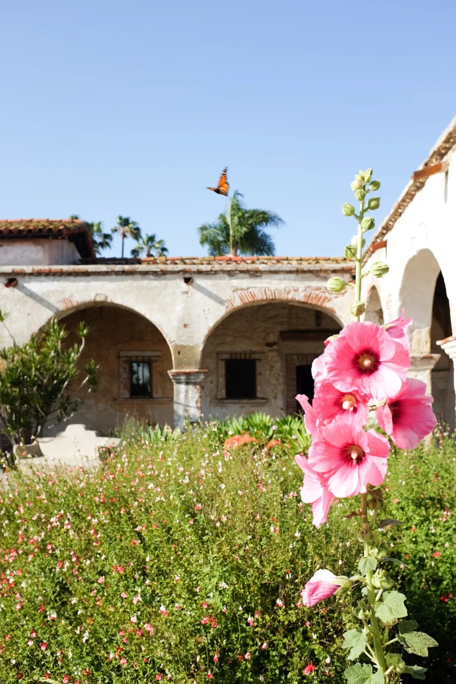 Mission San Juan Capistrano - Legal Miss Sunshine