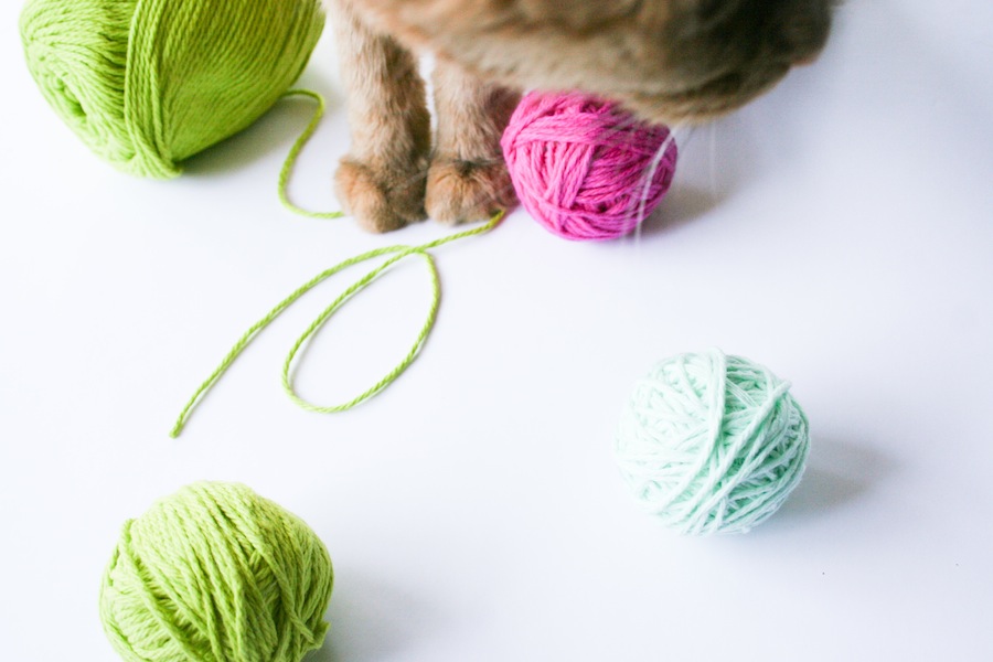 DIY Craft Catnip Cat Yarn Ball // Legal Miss Sunshine