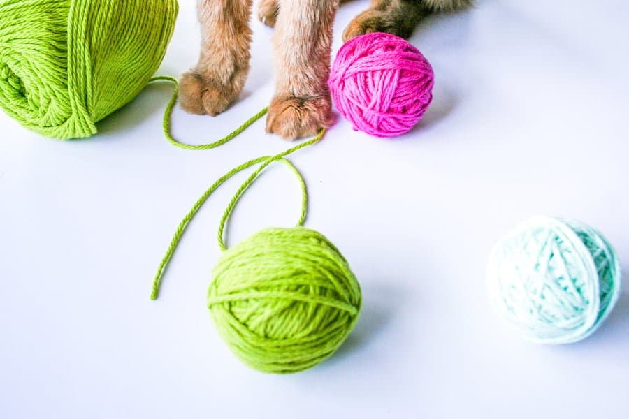 DIY Catnip Yarn Balls // Salty Canary