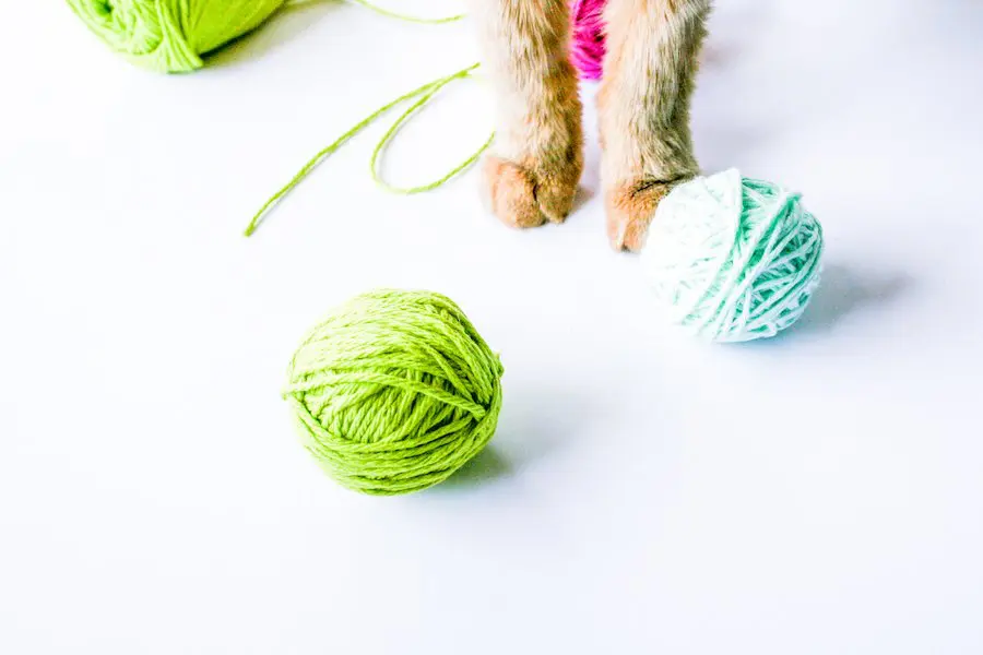 DIY Catnip Yarn Balls // Salty Canary