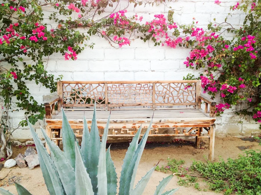 Weekend Trips from Los Angeles // Legal Miss Sunshine