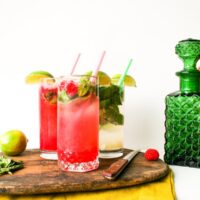 Sparkling Raspberry Mojito Recipe // Salty Canary