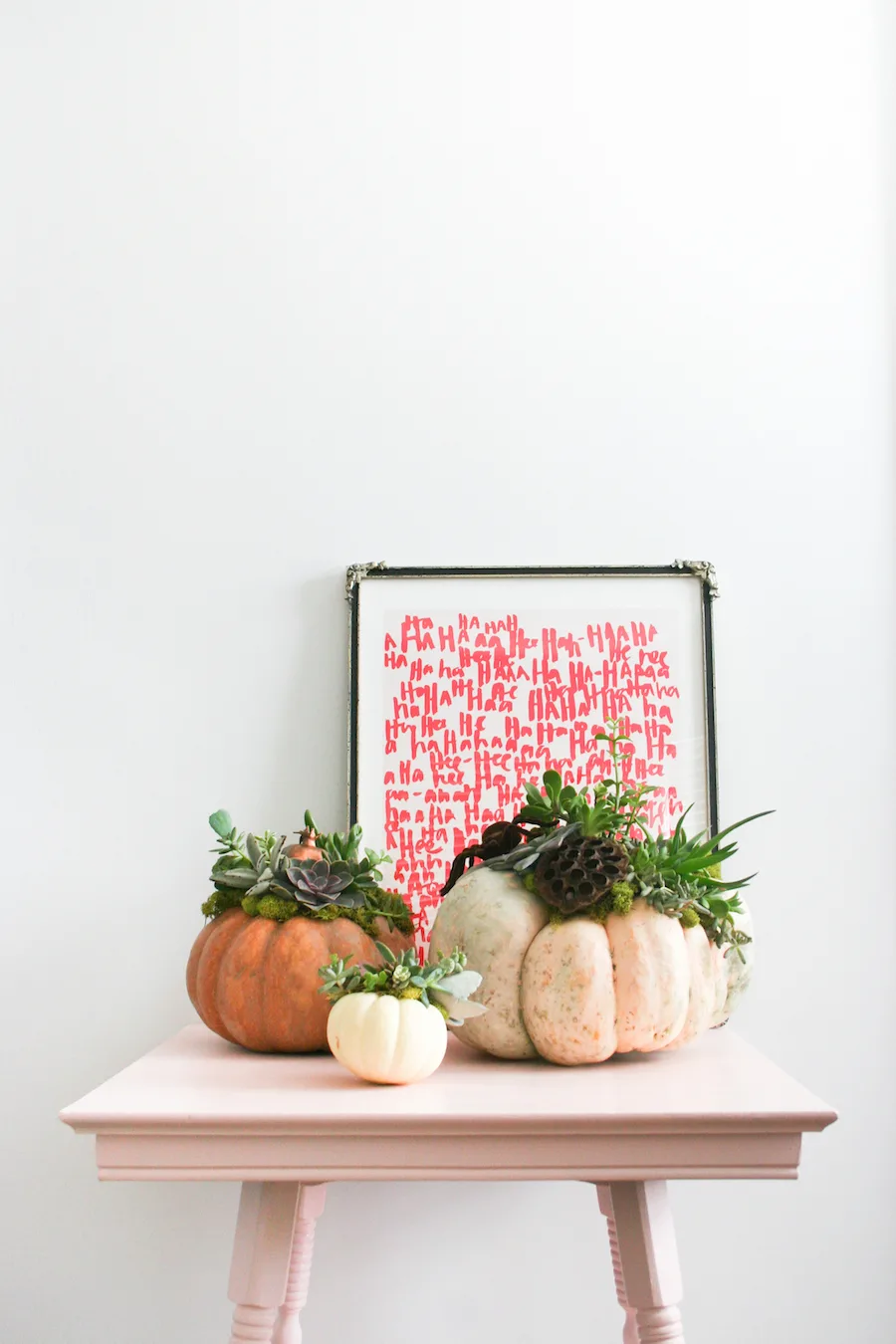 DIY Succulent Pumpkin // Legal Miss Sunshine 