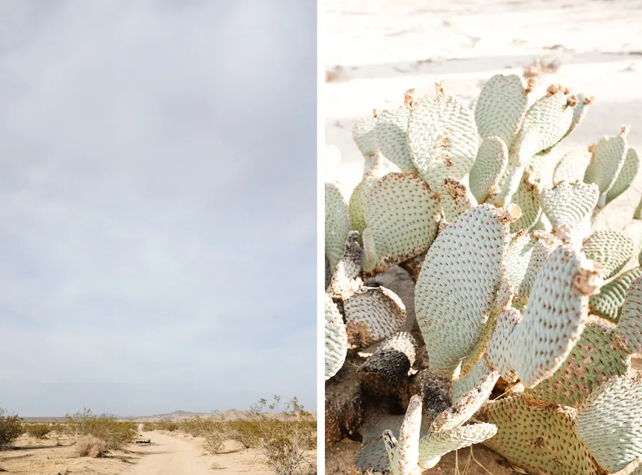 Dome in the Desert // Joshua Tree