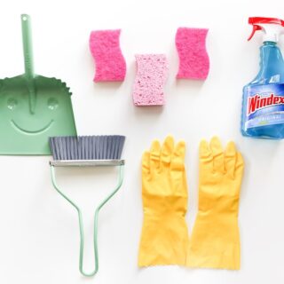 8 Spring Cleaning Shortcuts and Tricks // Salty Canary