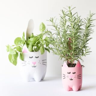 Turn an empty soda bottle into an adorable kitty plant planter for catnip, herbs, or even a cactus or succulent! Easy to make and so cute! // Salty Canary