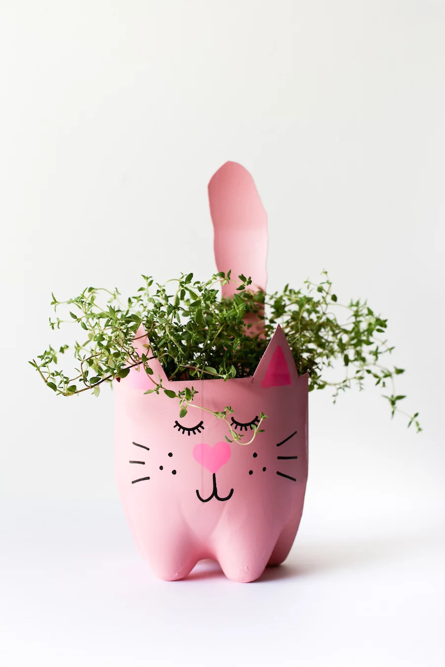 Turn an empty soda bottle into an adorable kitty plant planter for catnip, herbs, or even a cactus or succulent! Easy to make and so cute! // Salty Canary