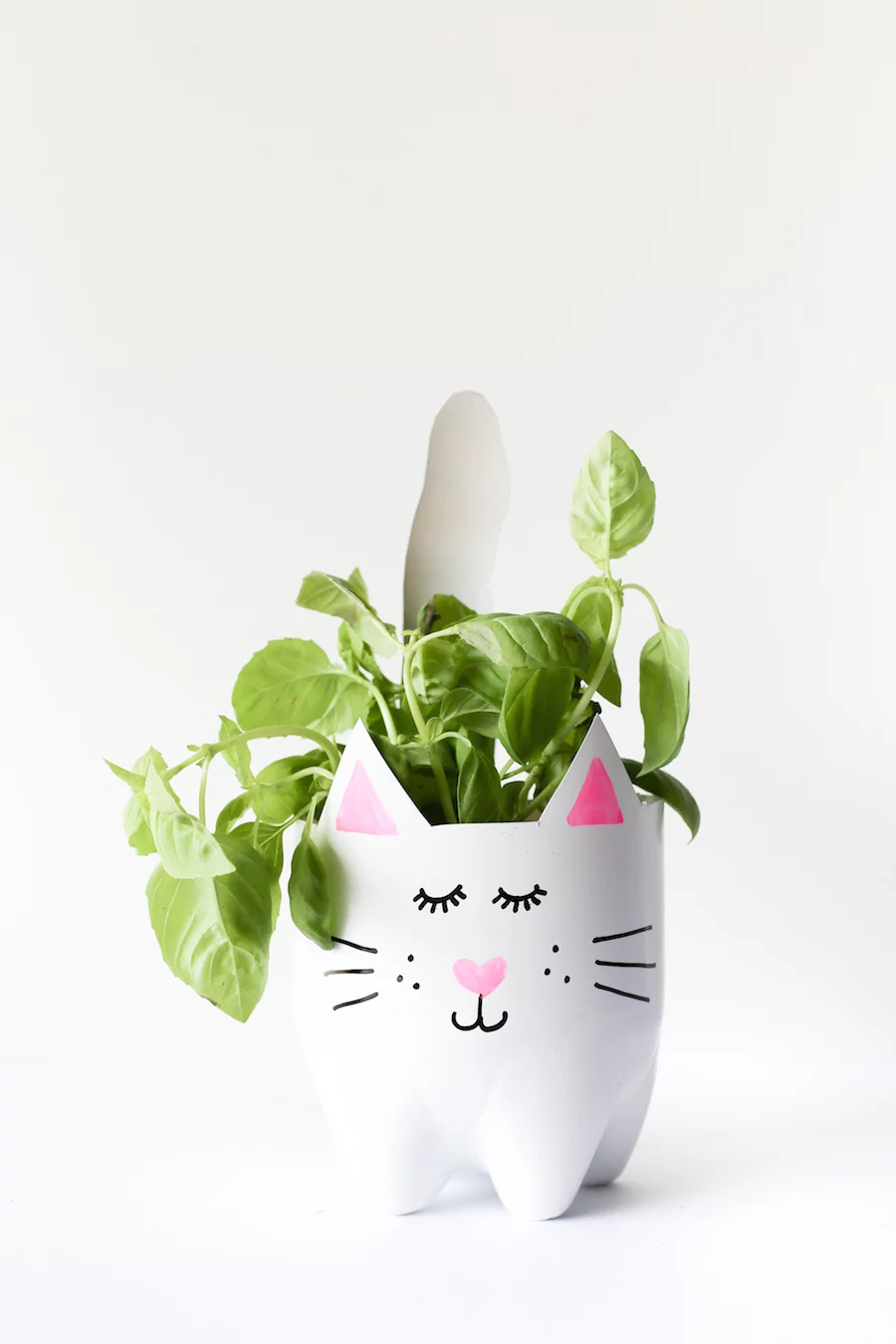 Turn an empty soda bottle into an adorable kitty plant planter for catnip, herbs, or even a cactus or succulent! Easy to make and so cute! // Salty Canary