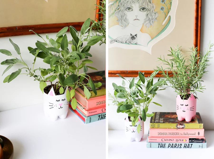 Turn an empty soda bottle into an adorable kitty plant planter for catnip, herbs, or even a cactus or succulent! Easy to make and so cute! // Salty Canary