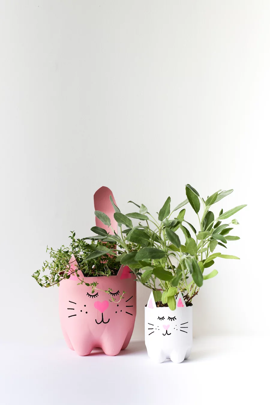 Turn an empty soda bottle into an adorable kitty plant planter for catnip, herbs, or even a cactus or succulent! Easy to make and so cute! // Salty Canary