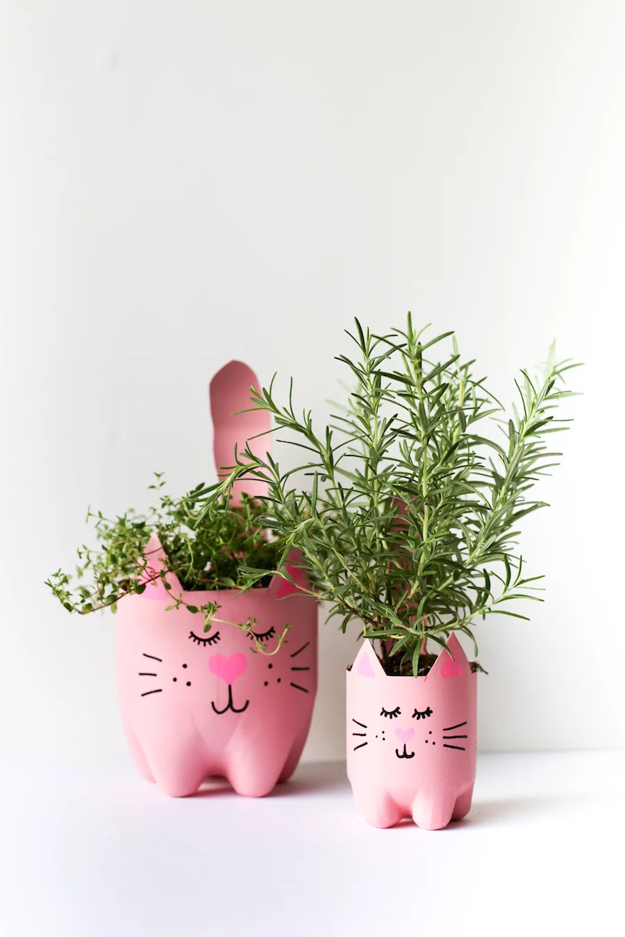 Turn an empty soda bottle into an adorable kitty plant planter for catnip, herbs, or even a cactus or succulent! Easy to make and so cute! // Salty Canary