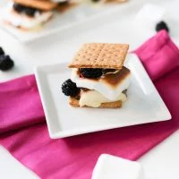 Try this very adult, gourmet version of s'mores: Blackberry Brie S'mores // saltycanary.com