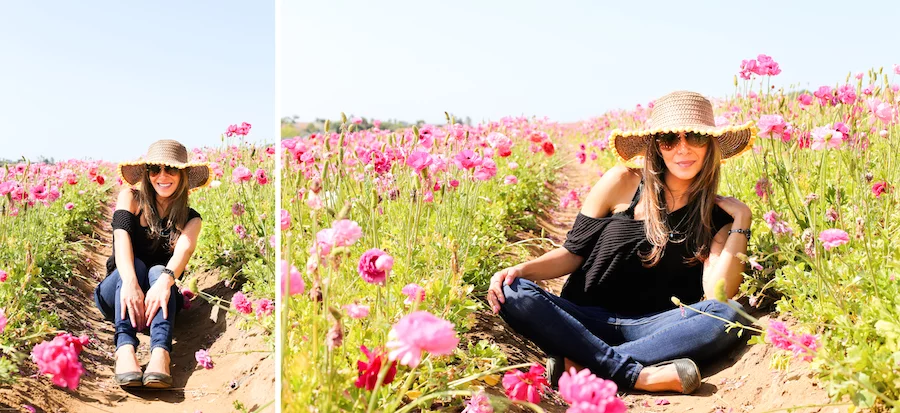 Visit The Flower Fields in Carlsbad, CA about 1-2 hours south of Los Angeles // saltycanary.com
