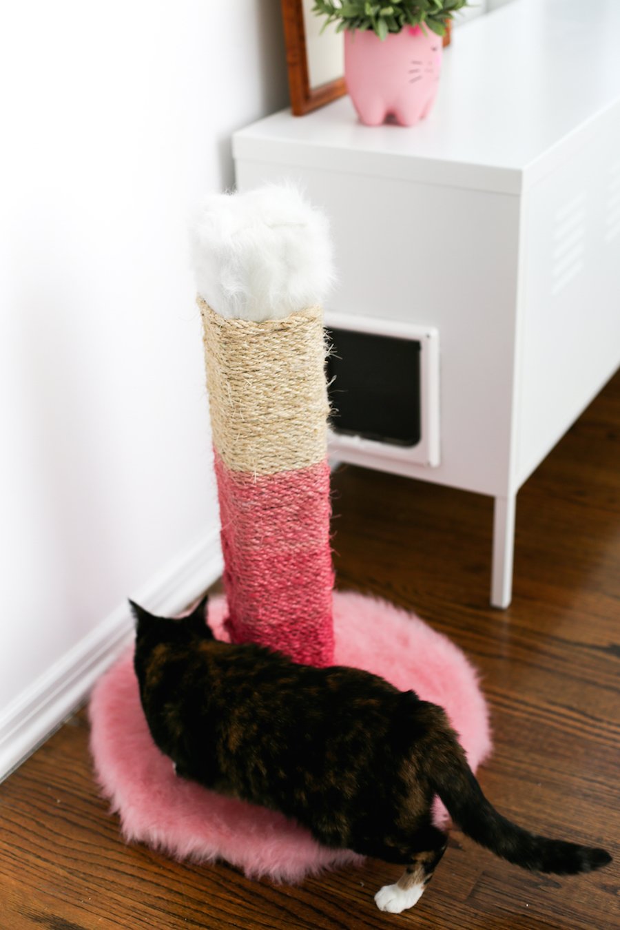 Hate the brown, ugly cat scratching posts? DIY one! And make it pink ombre! // saltycanary.com