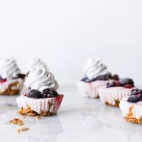 Since they're made in a cupcake pan, that makes them cupcakes right? No frosting, just add some blueberry whipped cream on top of these Yogurt Parfait Cupcakes! | saltycanary.com