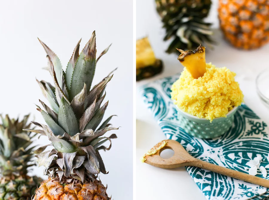 If you can't go to the islands on vacation, bring the islands to you with this DIY Piña Colada Sugar Scrub // saltycanary.com