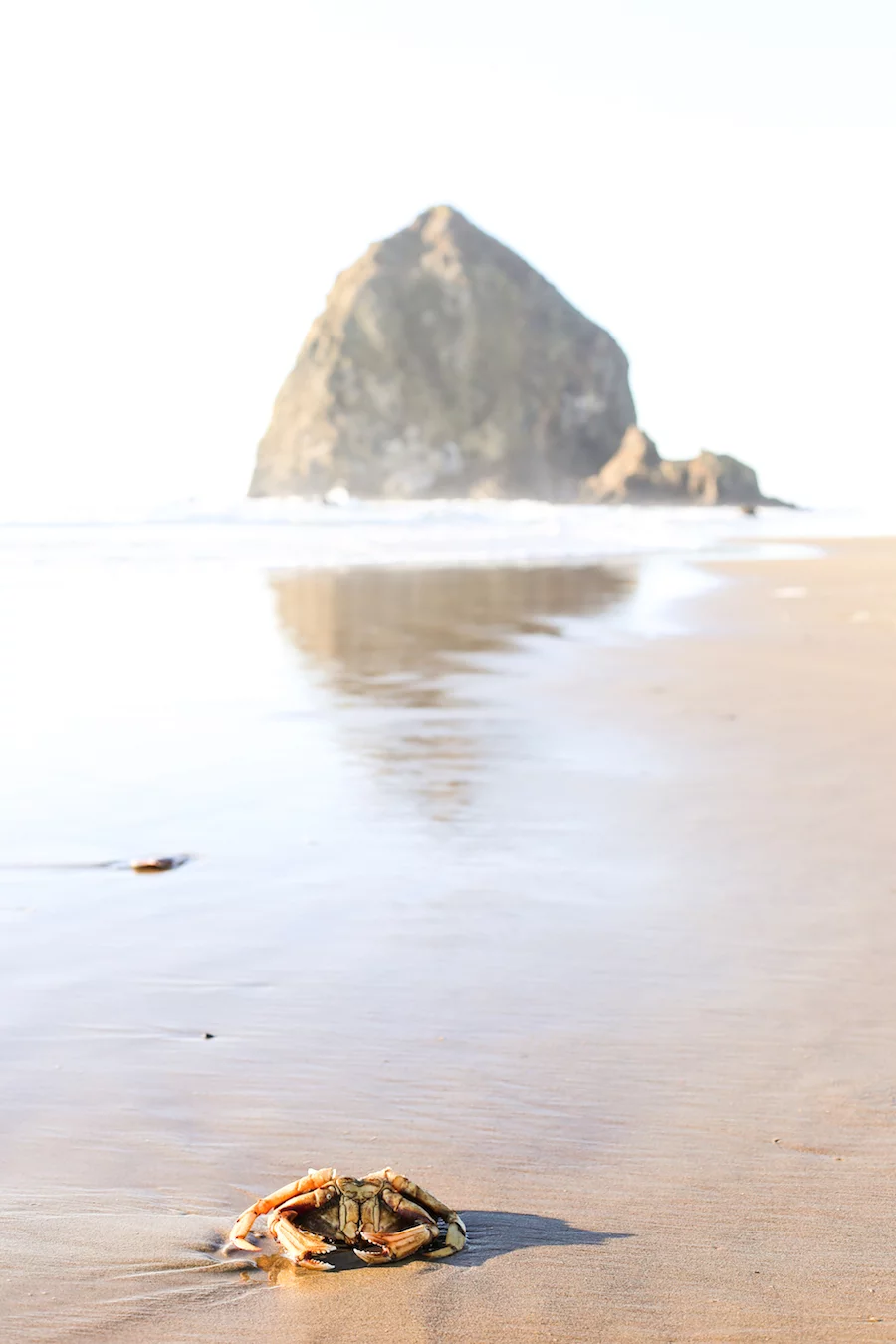 Cannon Beach side trip from Portland, Oregon // Salty Canary