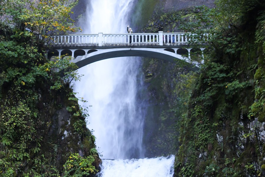 Multnomah Falls in Portland, Oregon // Salty Canary