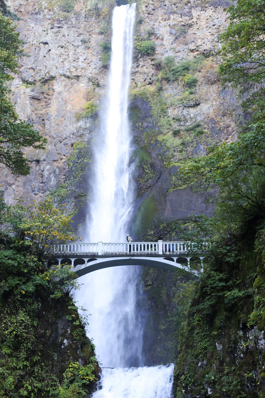 Multnomah Falls in Portland, Oregon // Salty Canary