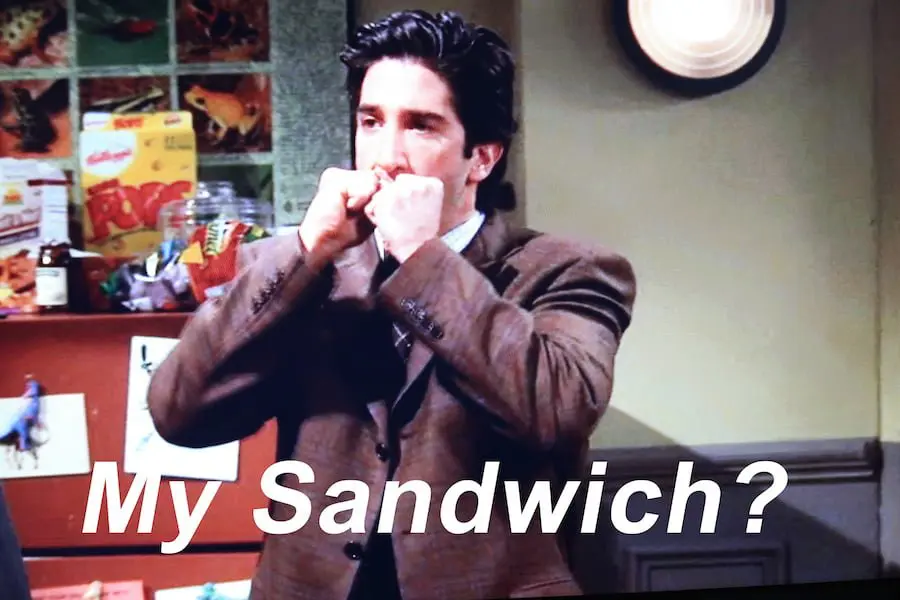 Friends Thanksgiving - The One with Ross's Moistmaker Sandwich // Salty Canary