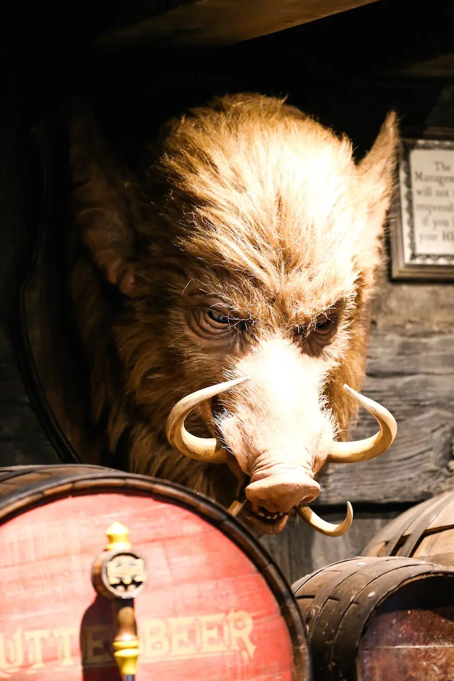 Hog's Head Pub at the Wizarding World of Harry Potter at Universal Studios Hollywood // Salty Canary
