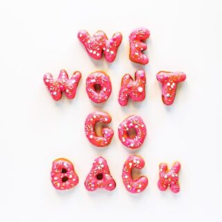 We Wont Go Back Donuts // Salty Canary