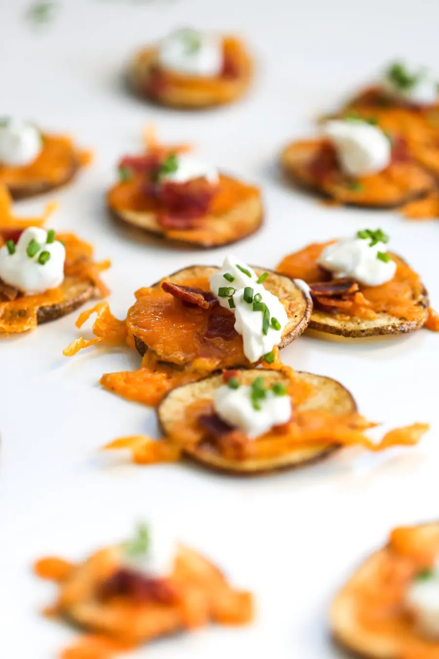 Loaded Potato "Chip" Rounds // Salty Canary