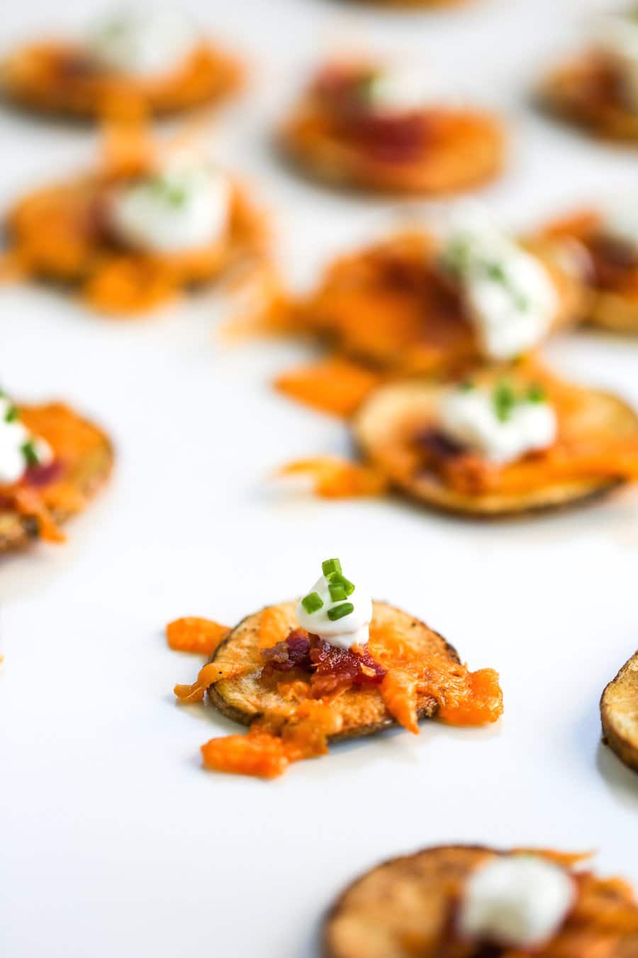 Loaded Potato "Chip" Rounds // Salty Canary