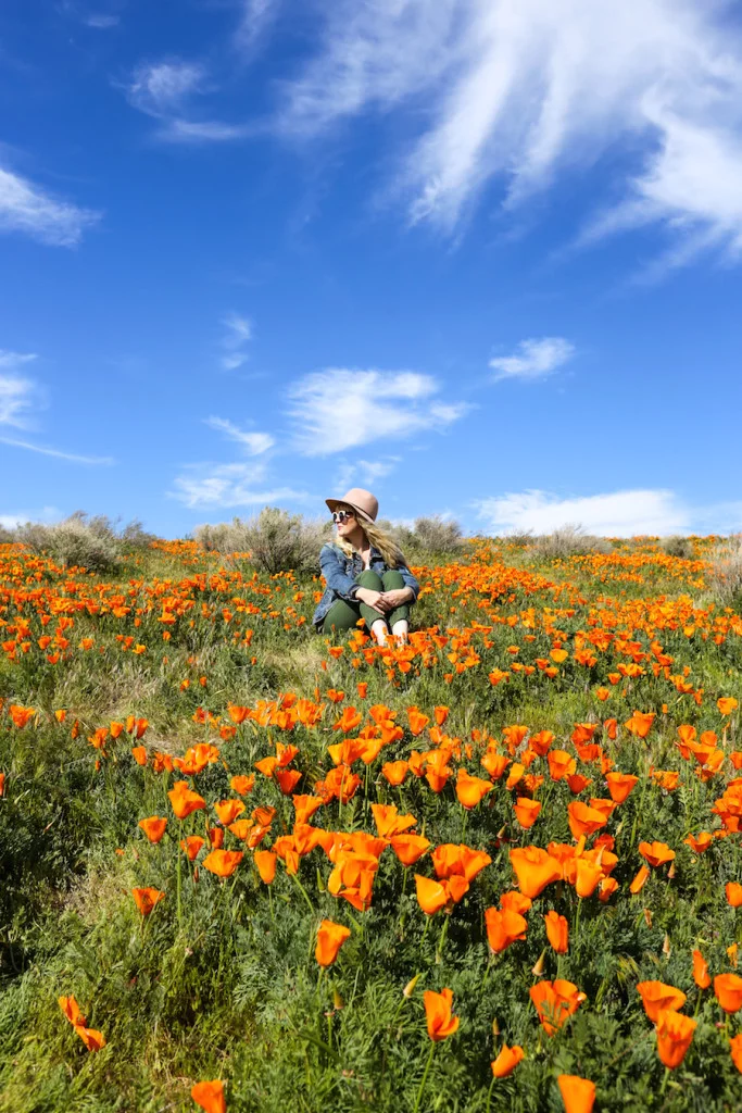 California Poppy Fields // Salty Canary
