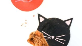 DIY Kitty Cat Placemats // Salty Canary
