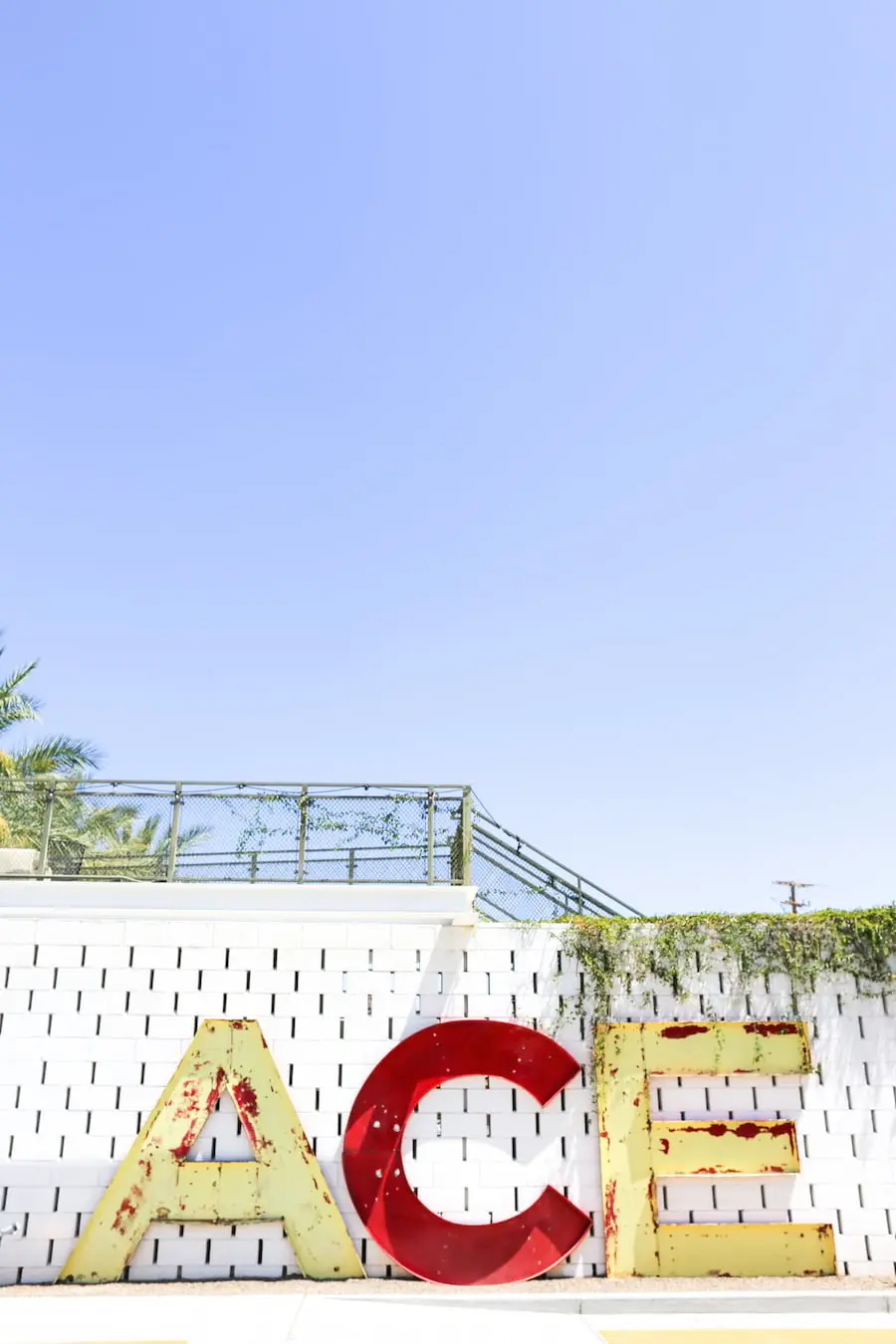 Ace Hotel in Palm Springs // Salty Canary