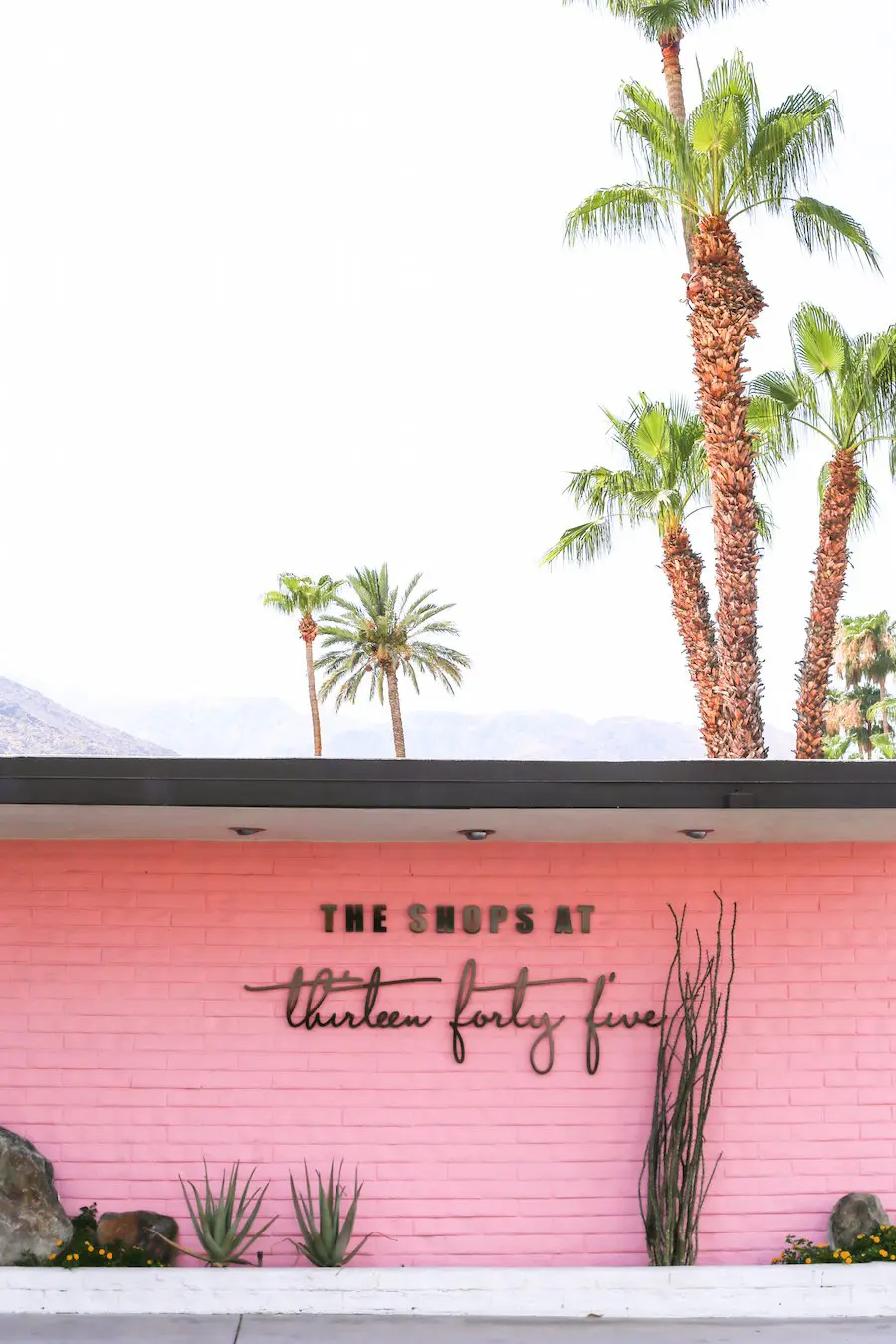 Ultimate Guide to Palm Springs // Salty Canary