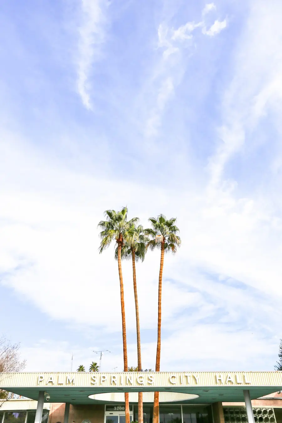 Ultimate Guide to Palm Springs // Salty Canary