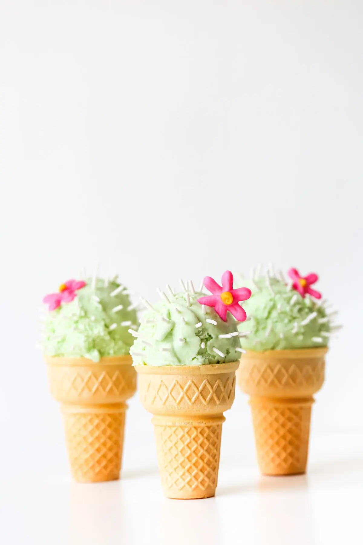 Cactus Ice Cream | Salty Canary