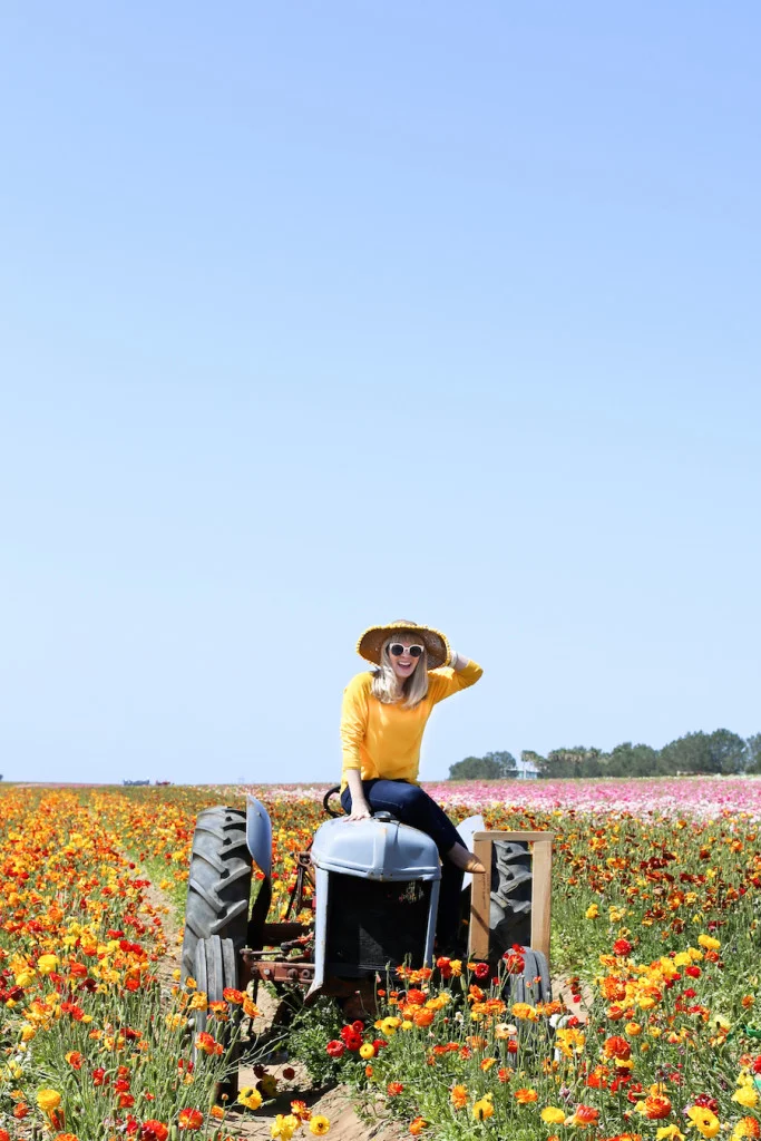 The Ultimate Southern California Spring Flower Fields Guide // Salty Canary