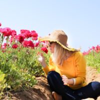 The Ultimate Southern California Spring Flower Fields Guide // Salty Canary