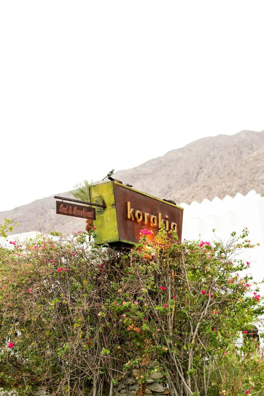 Korakia Pensione in Palm Springs | Salty Canary