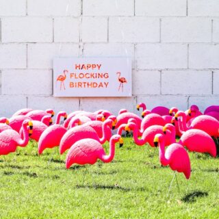 Happy Flocking Birthday with a Flamingo Flocking // Salty Canary