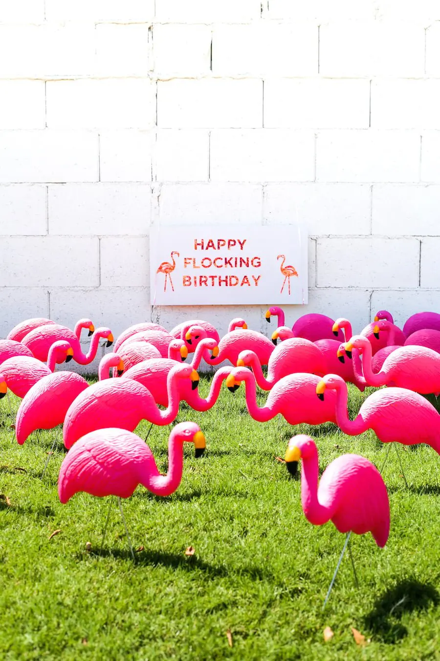 Happy Flocking Birthday with a Flamingo Flocking // Salty Canary 