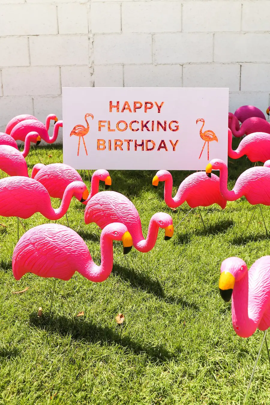Happy Flocking Birthday with a Flamingo Flocking // Salty Canary 