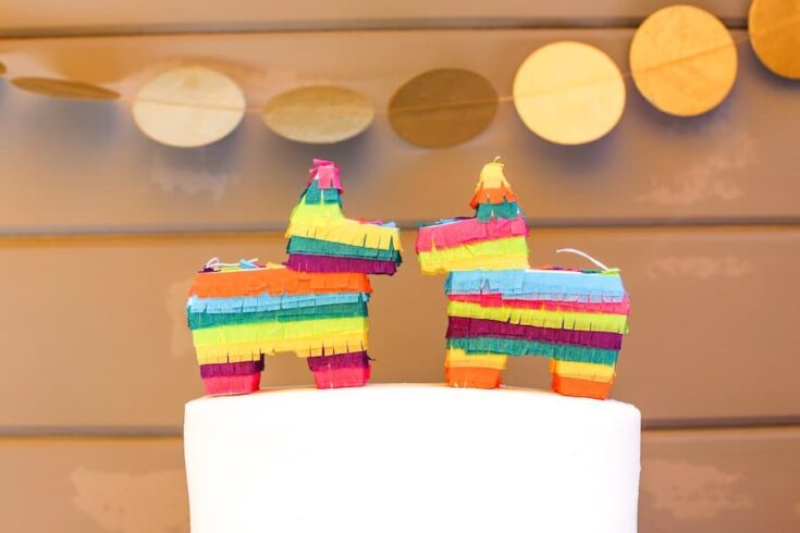 Twin Baby Shower Fiesta // Salty Canary