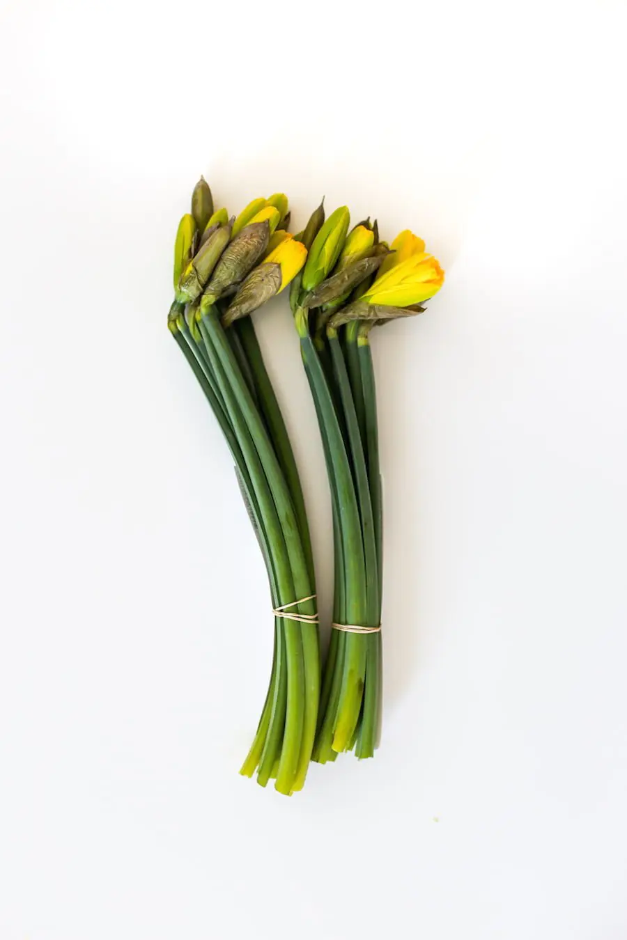 How to Make Grocery Store Flowers Look Expensive // Salty Canary