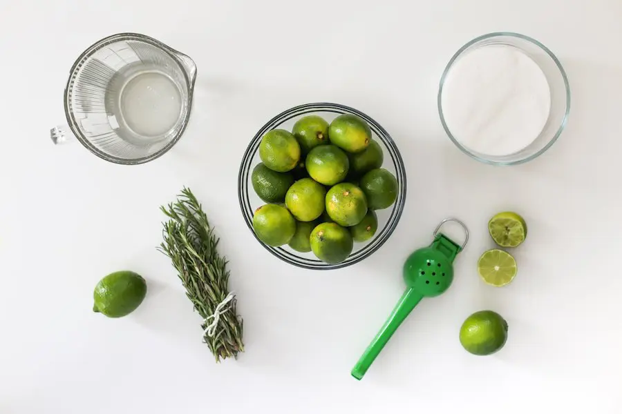 Perfect Summer Concert Picnic with Rosemary Limeade Recipe // Salty Canary