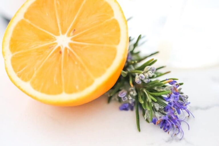 DIY Homemade Cat Scratch Repellent Spray Salty Canary