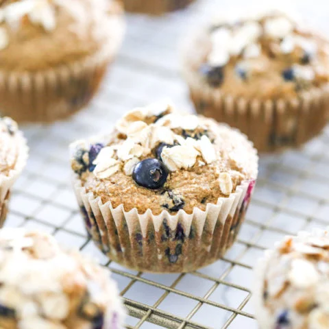 Apple, Blueberry, & Banana Sugar-Free Oat Muffins