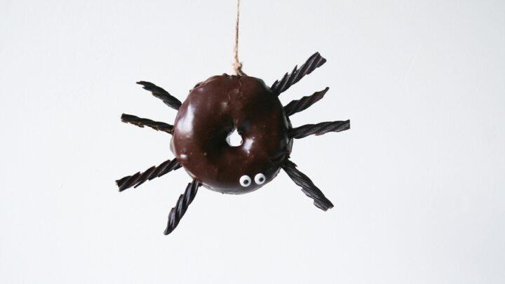 Chocolate Spider Halloween Donuts – Salty Canary