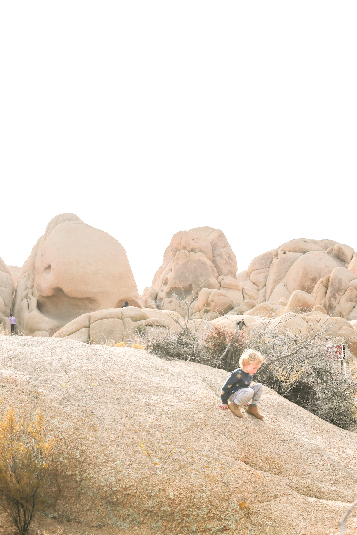A Travel Guide to Joshua Tree National Park and Gateway Towns